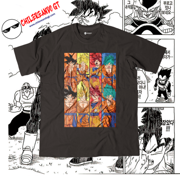 DRAGON BALL - GOKU FASES