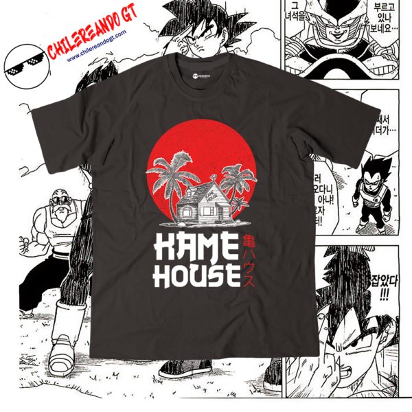 DRAGON BALL - KAME HOUSE