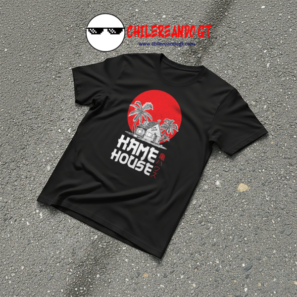 DRAGON BALL - KAME HOUSE